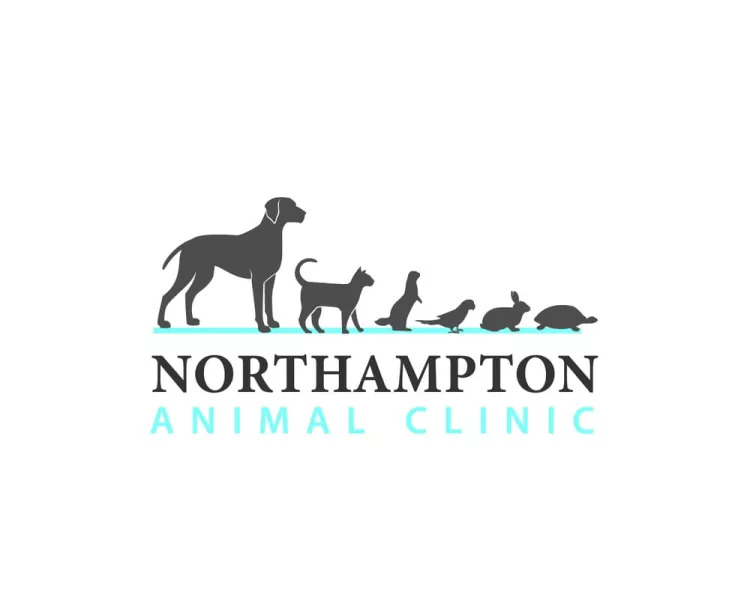 Northampton Animal Clinic, Florida, Tallahassee